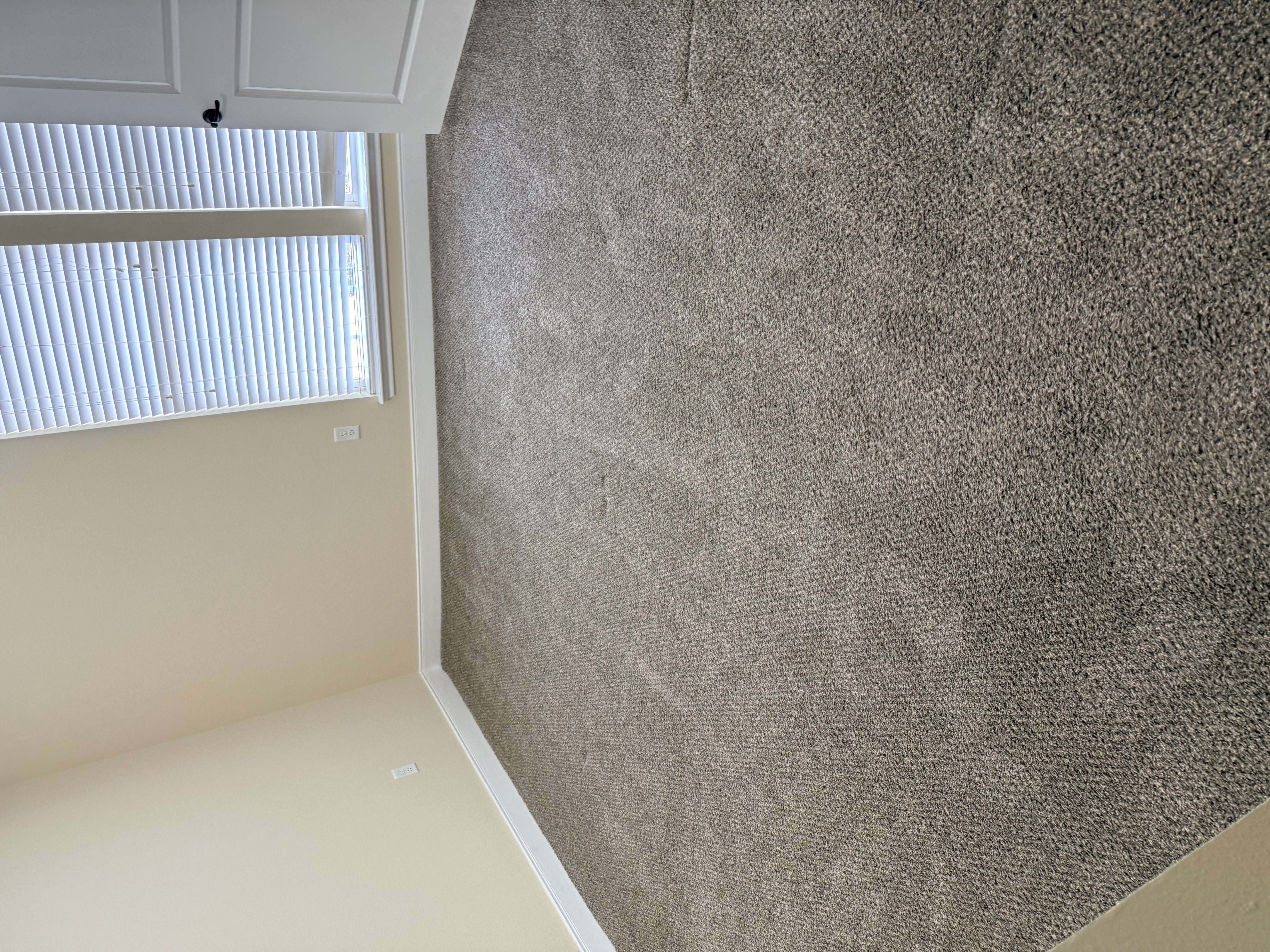 Clean carpet after LoomClean service