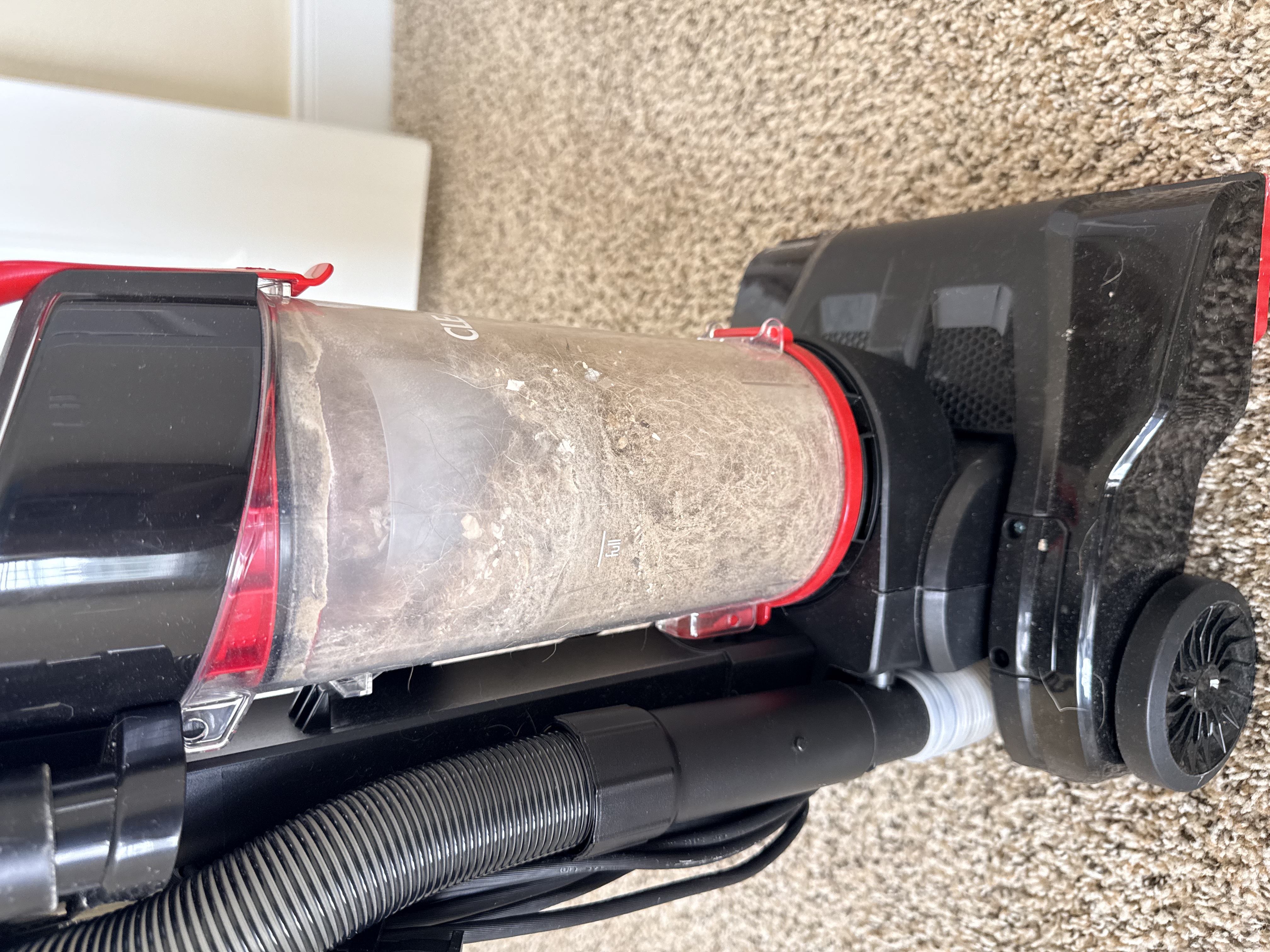 Professional carpet cleaning equipment