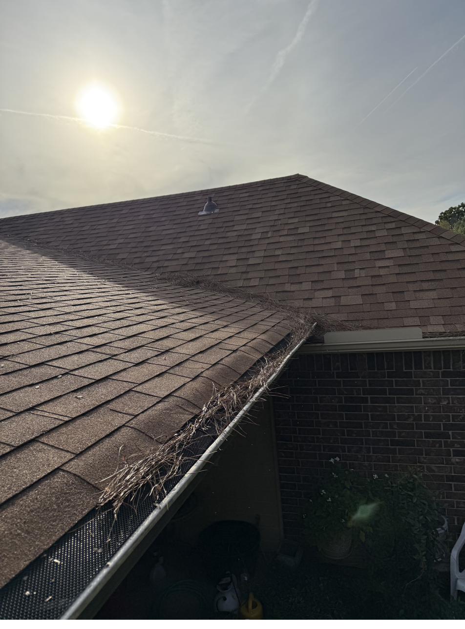 Clean gutters after LoomClean service